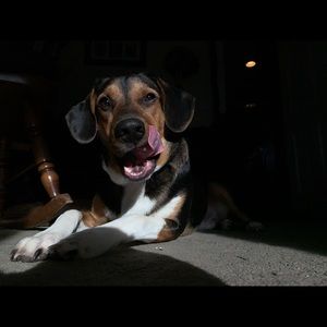 Meet your Posher, John